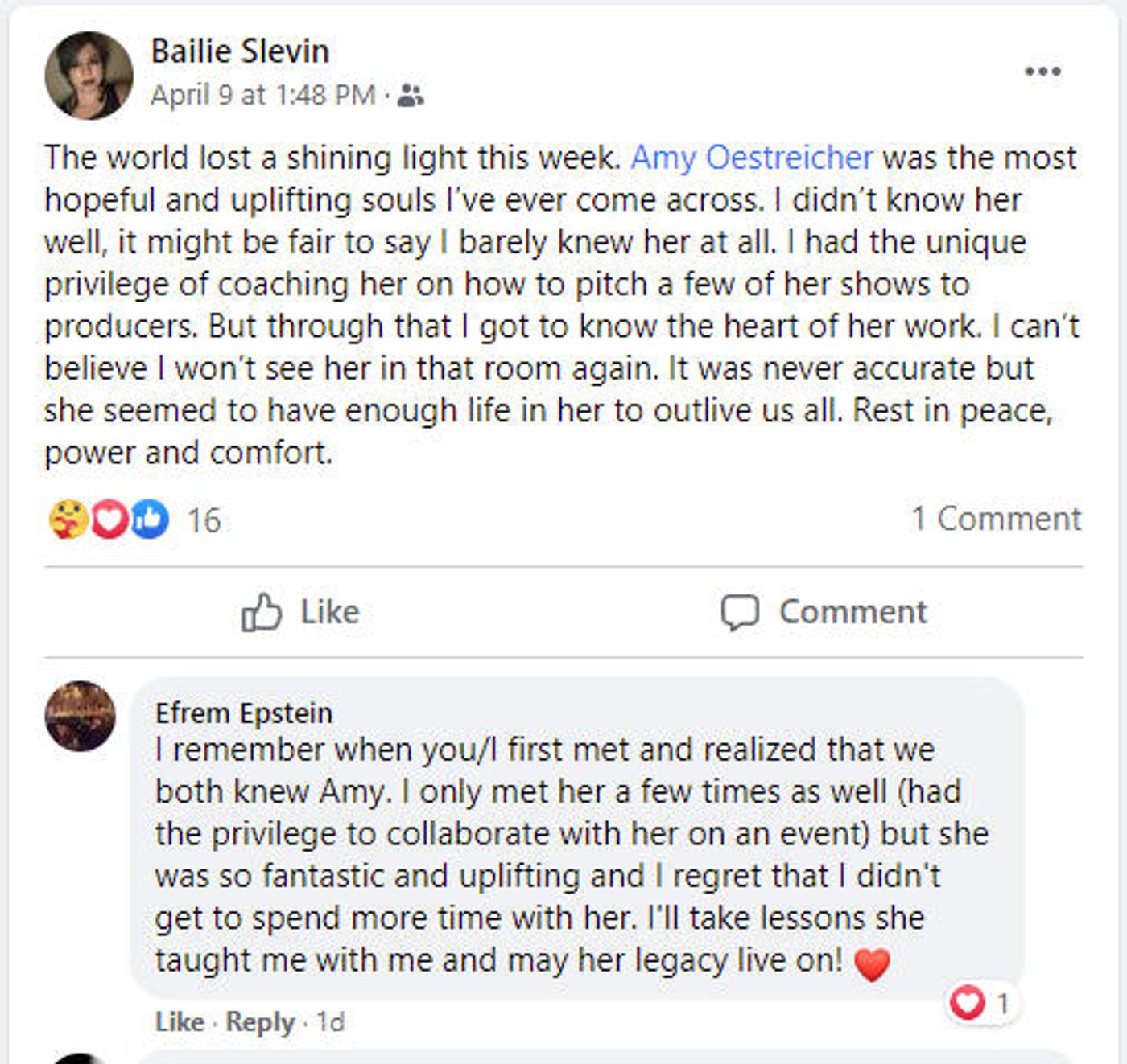 Feature: Remembering Amy Oestreicher - A Woman of Substance and An Artist With A Mission  Image