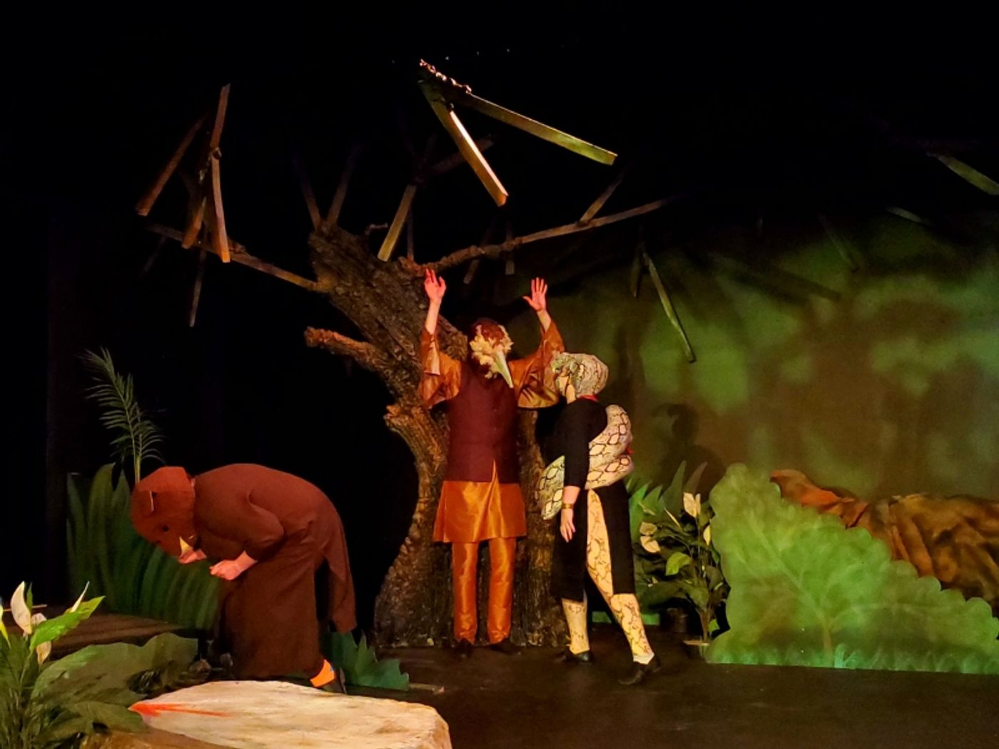 An Interview with Director Adam Bryan about RIKKI TIKKI TAVI, Opening This Weekend at THE ALBAN ARTS CENTER!  Image