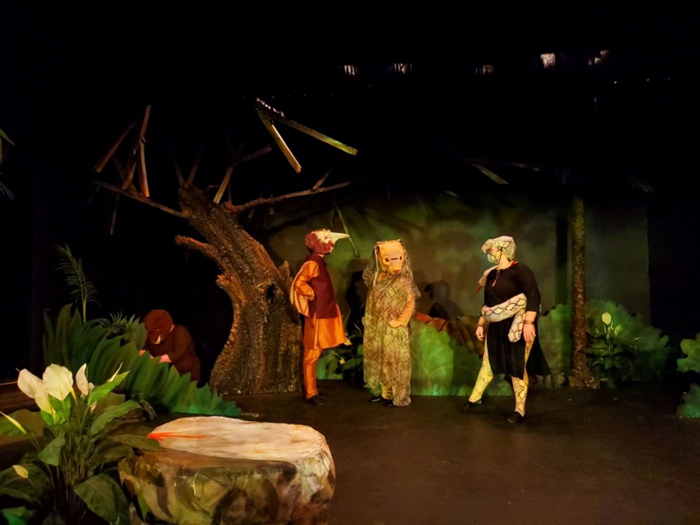 An Interview with Director Adam Bryan about RIKKI TIKKI TAVI, Opening This Weekend at THE ALBAN ARTS CENTER!  Image