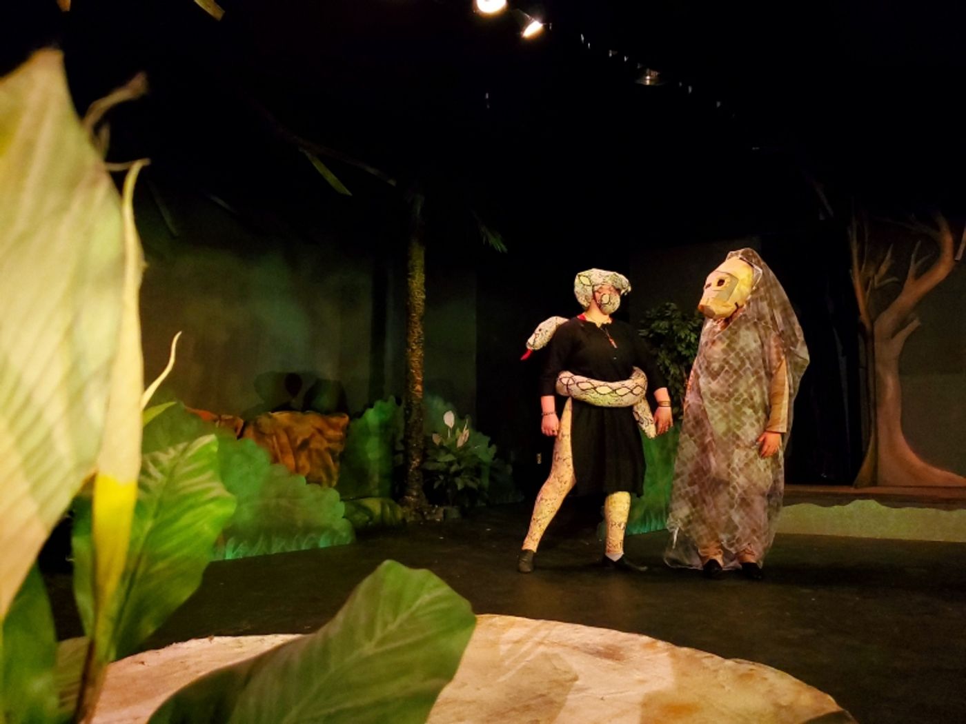 An Interview with Director Adam Bryan about RIKKI TIKKI TAVI, Opening This Weekend at THE ALBAN ARTS CENTER!  Image