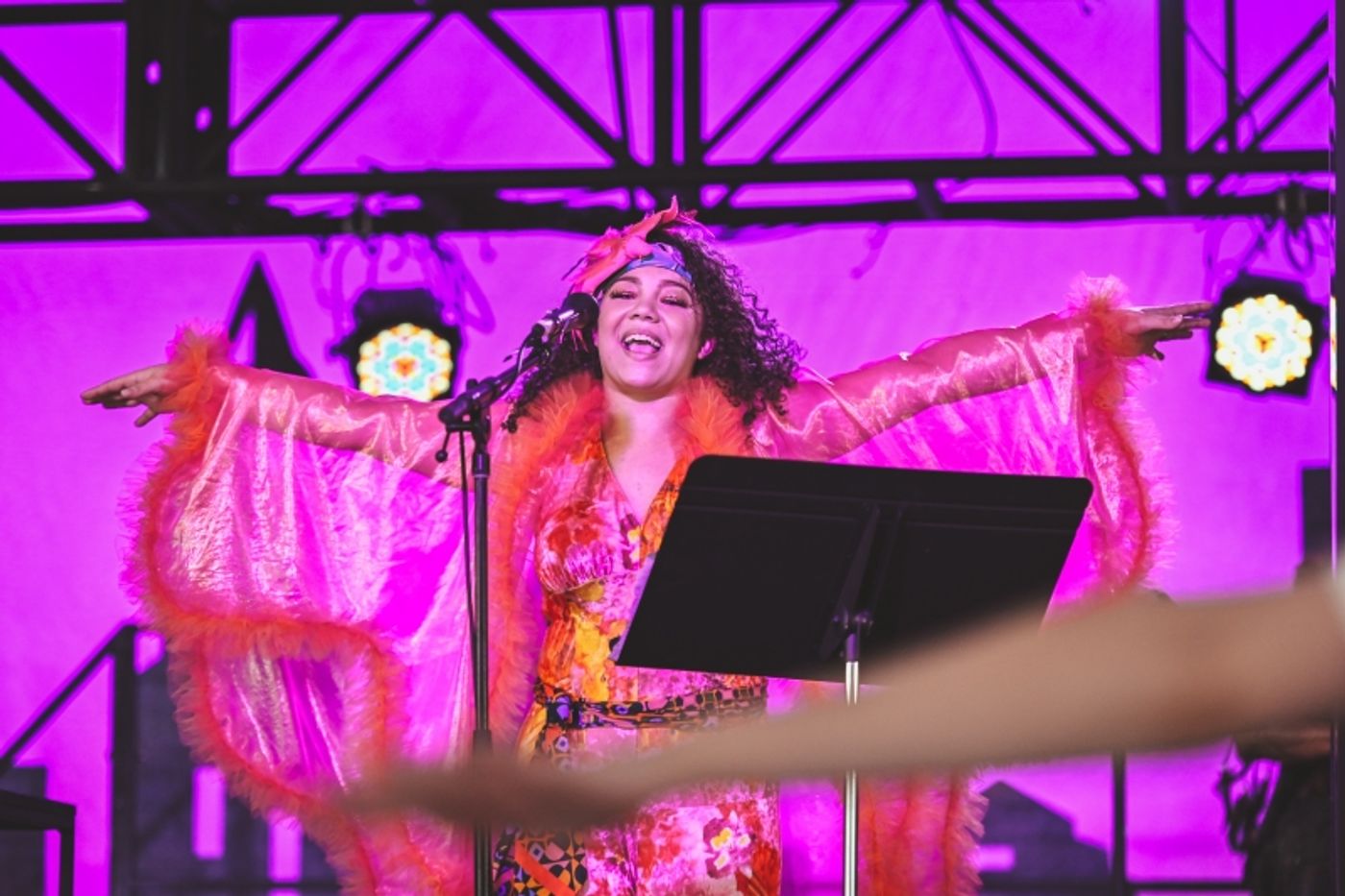 Review: BEAUTIFUL BLACKBIRD LIVE Delivers Sunshine and Free Wings  Image