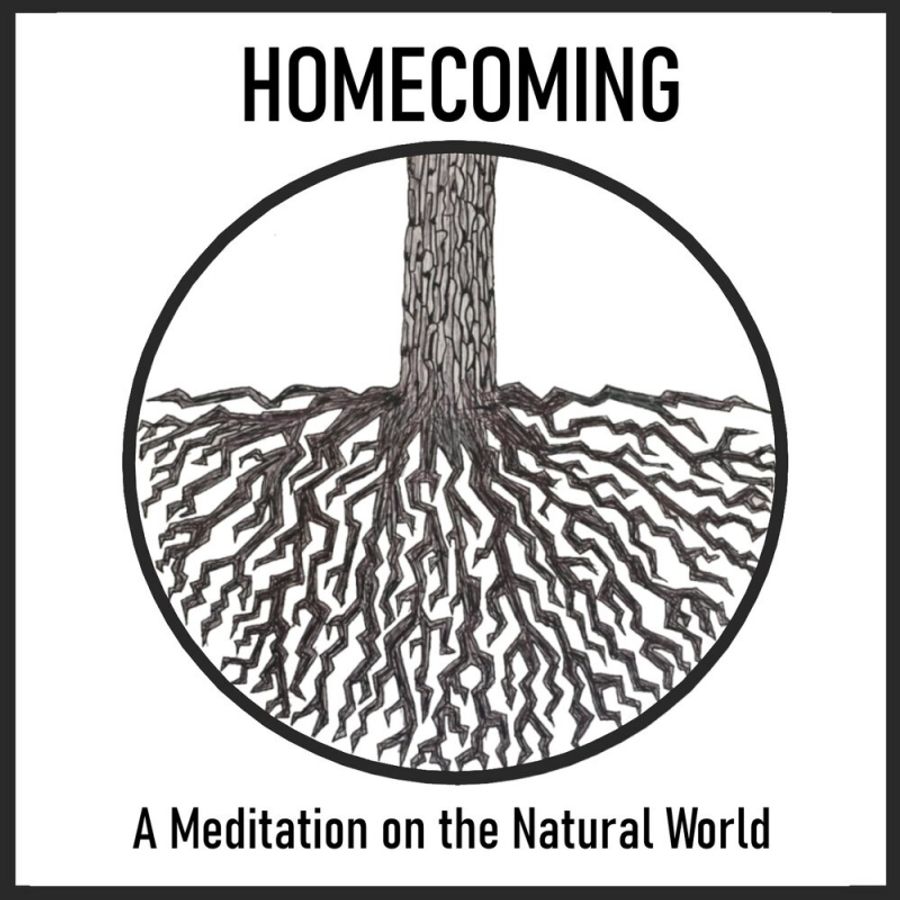 Rising Stars Series Interview: Katie Turner And J'Arrian Wade talk about creating HOMECOMING: A MEDITATION ON THE NATURAL WORLD at TurnKey Theatre Image