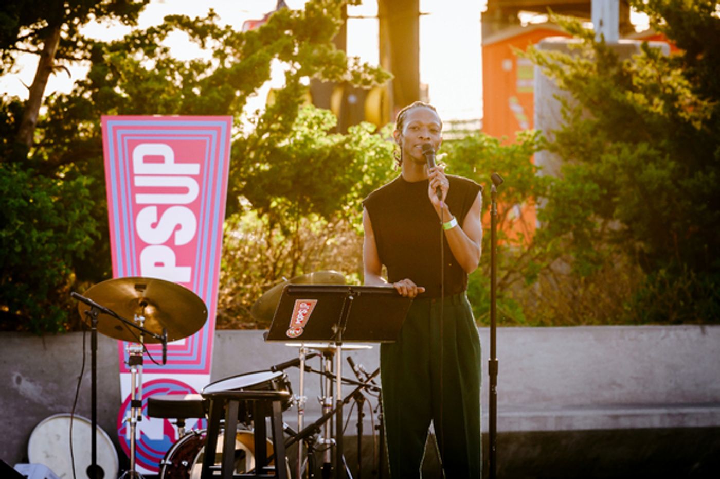Photo Flash: Laurie Anderson, Chris Thile and More Perform in the 10th Week of NY PopsUp  Image