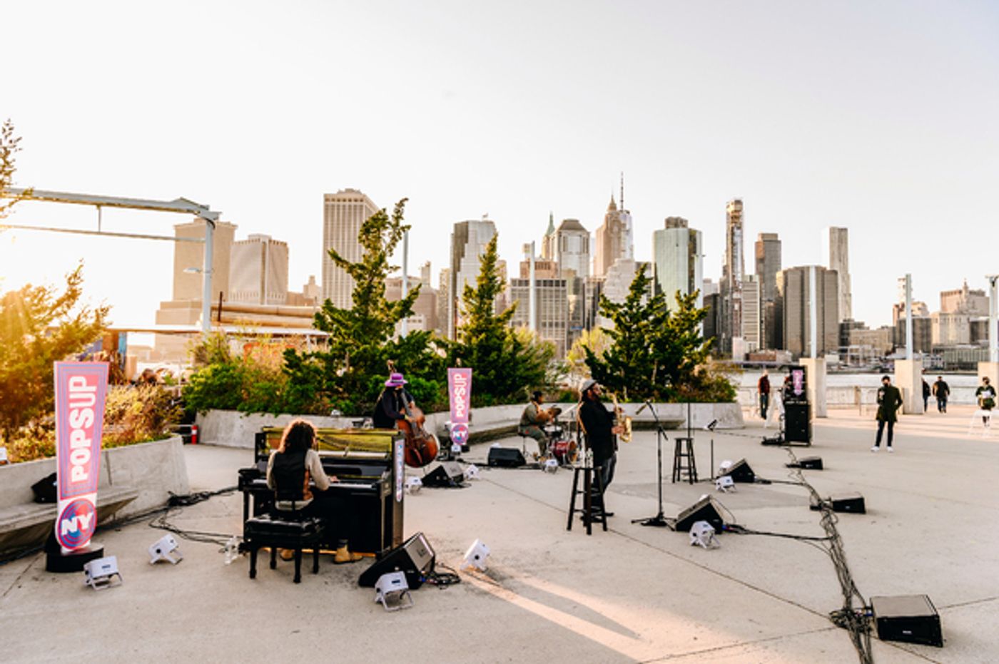 Photo Flash: Laurie Anderson, Chris Thile and More Perform in the 10th Week of NY PopsUp  Image
