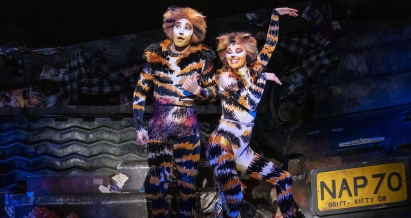 BWW Previews: CATS IS BACK at Ronacher Theatre  Image