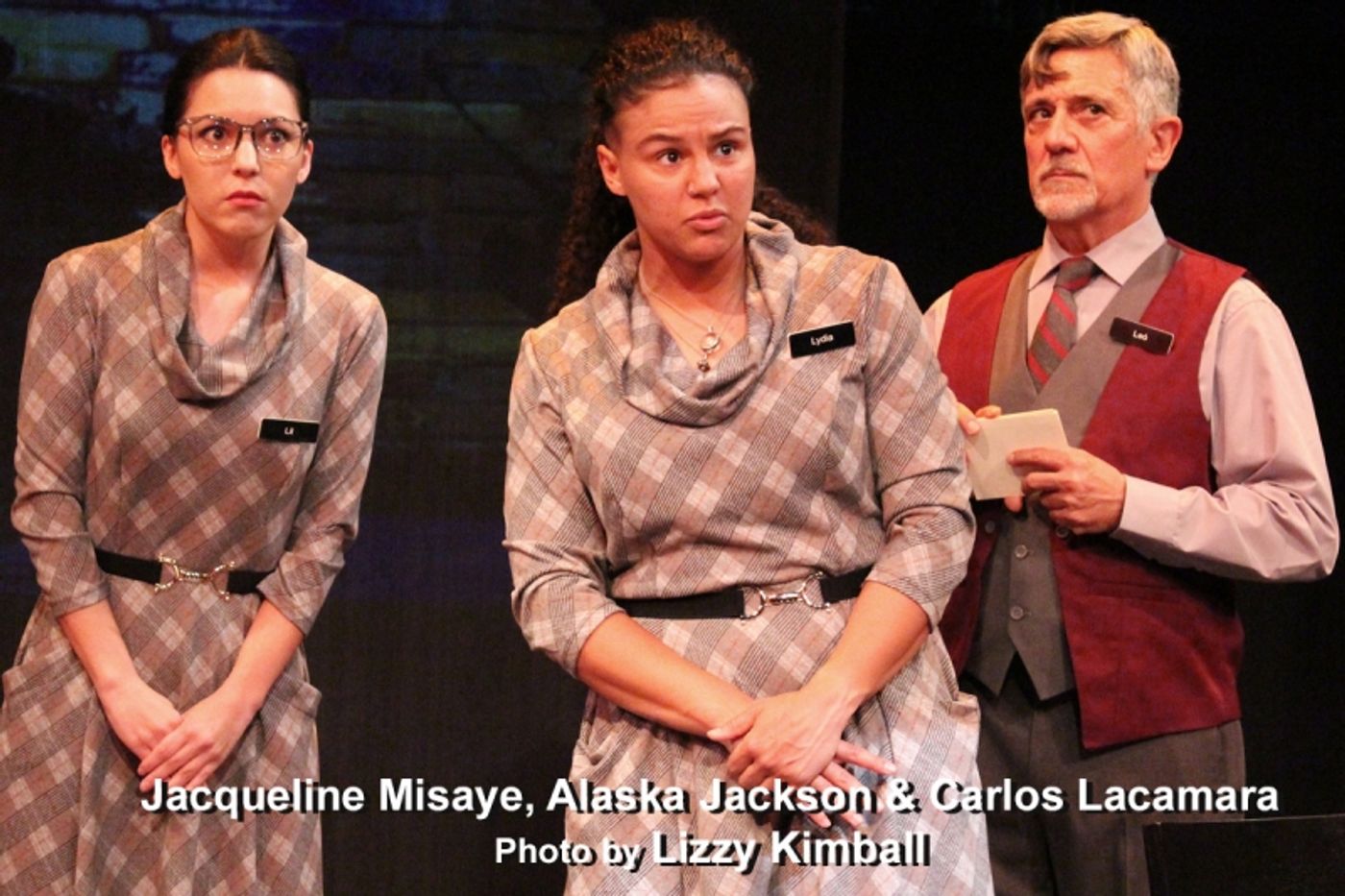 Interview: Ann Hearn Tobolowsky Excitedly Directing REYKJAVÍK Live & In-Person Again!  Image