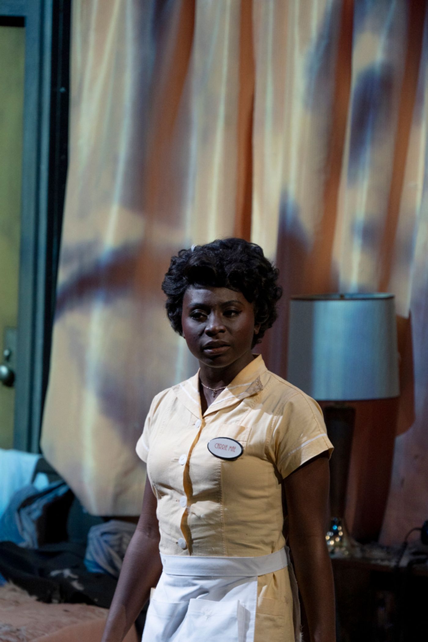 Photo Flash: American Players Theatre Presents THE MOUNTAINTOP  Image