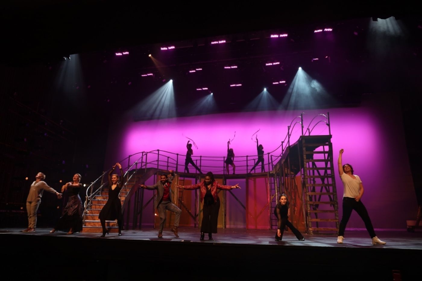 Student Blog: Northwestern's Dolphin Show Still Has Magic to Do  Image