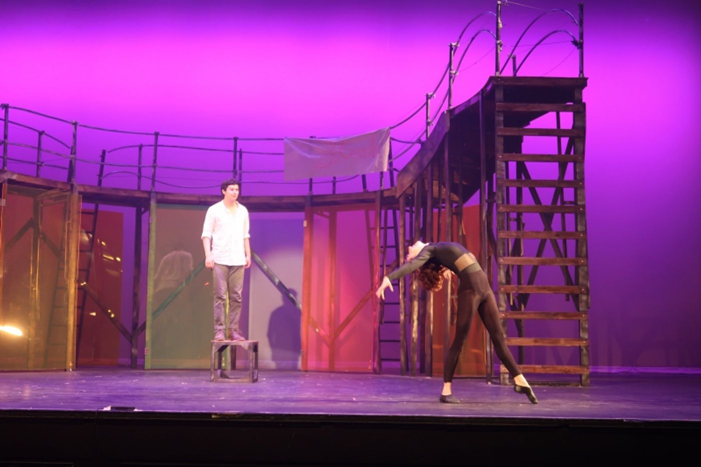 Student Blog: Northwestern's Dolphin Show Still Has Magic to Do  Image