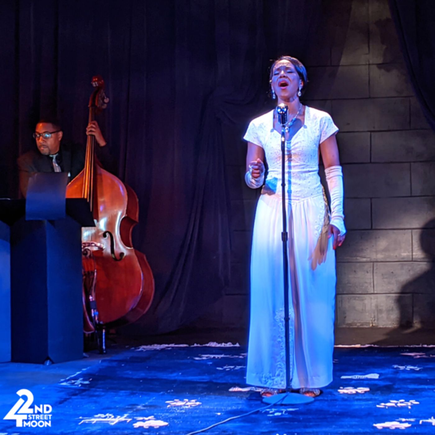 Photo Flash: First Look at Doris Bumpus as 'Billie Holiday' in 42nd Street Moon's LADY DAY AT EMERSON'S BAR AND GRILL  Image
