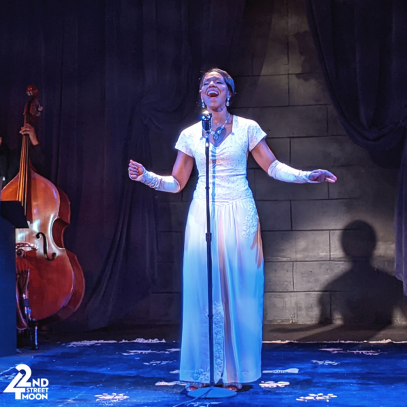Photo Flash: First Look at Doris Bumpus as 'Billie Holiday' in 42nd Street Moon's LADY DAY AT EMERSON'S BAR AND GRILL  Image