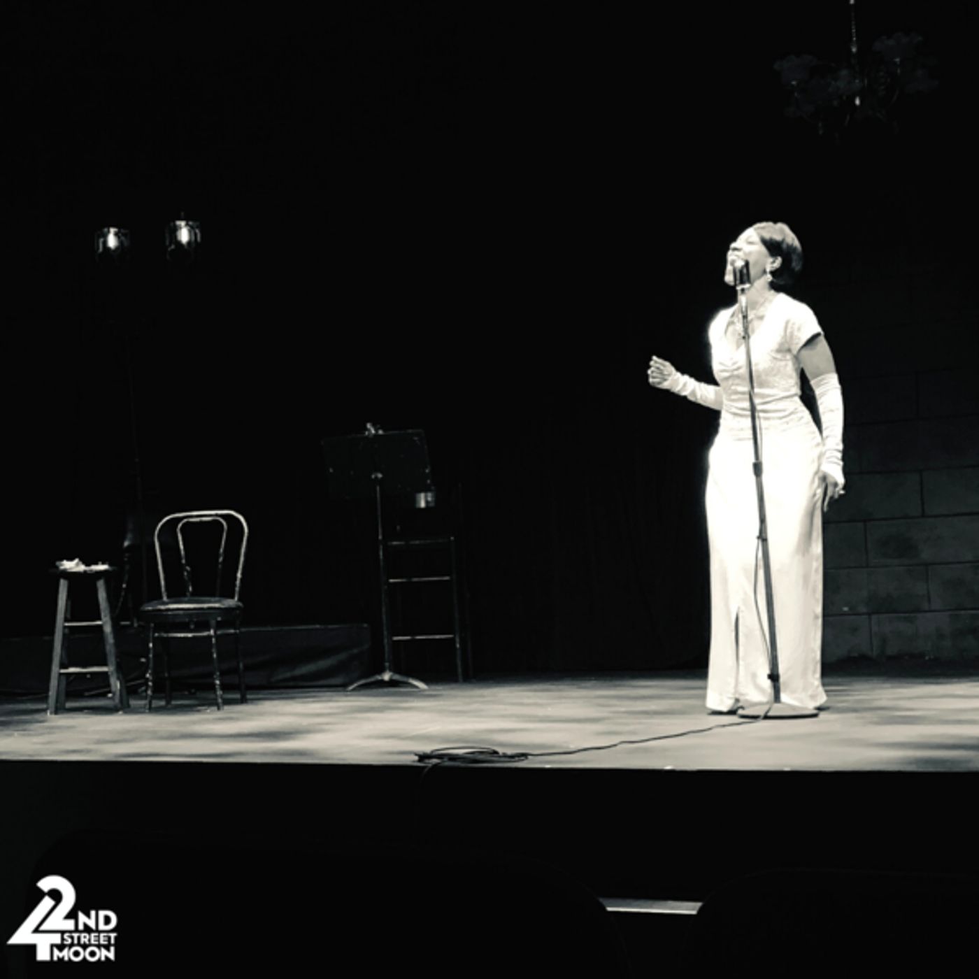 Photo Flash: First Look at Doris Bumpus as 'Billie Holiday' in 42nd Street Moon's LADY DAY AT EMERSON'S BAR AND GRILL  Image