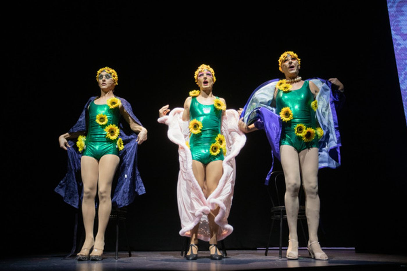 Photo Flash: First Look at PRISCILLA QUEEN OF THE DESERT at Crown Theatre  Image