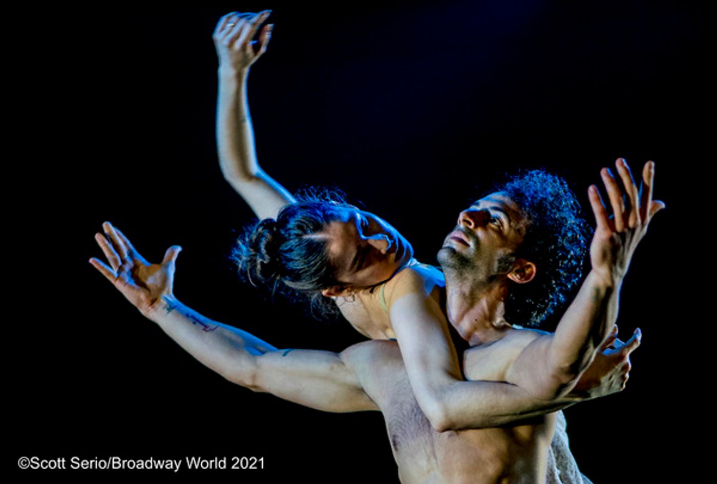 BWW Previews: The Pennsylvania Ballet's Streaming Spring Season of World Premieres  Image