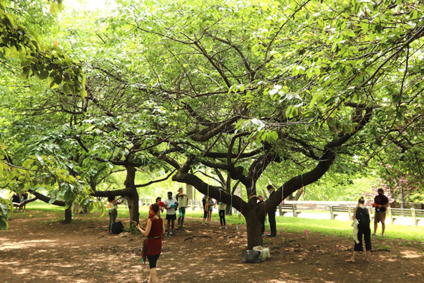 Photo Flash: First Look at Prospect Theater Company's Interactive TREE TALES on May 22  Image