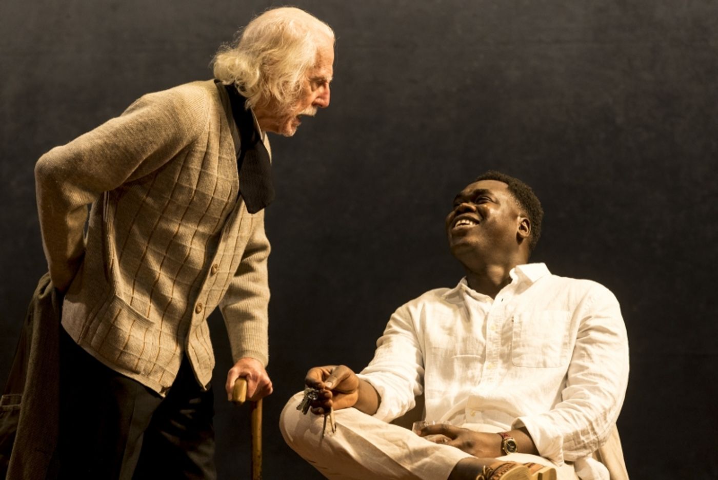 Review: The Farcical Comedy Of THE CHERRY ORCHARD Is Captured With Emotional Depth In Eamon Flack's Adaptation Of Chekhov's Last Work.  Image