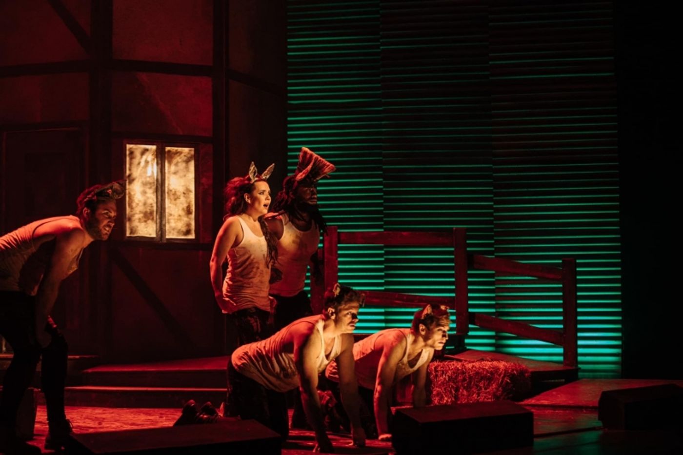 Review: ANIMAL FARM by shake & stir theatre co  Image