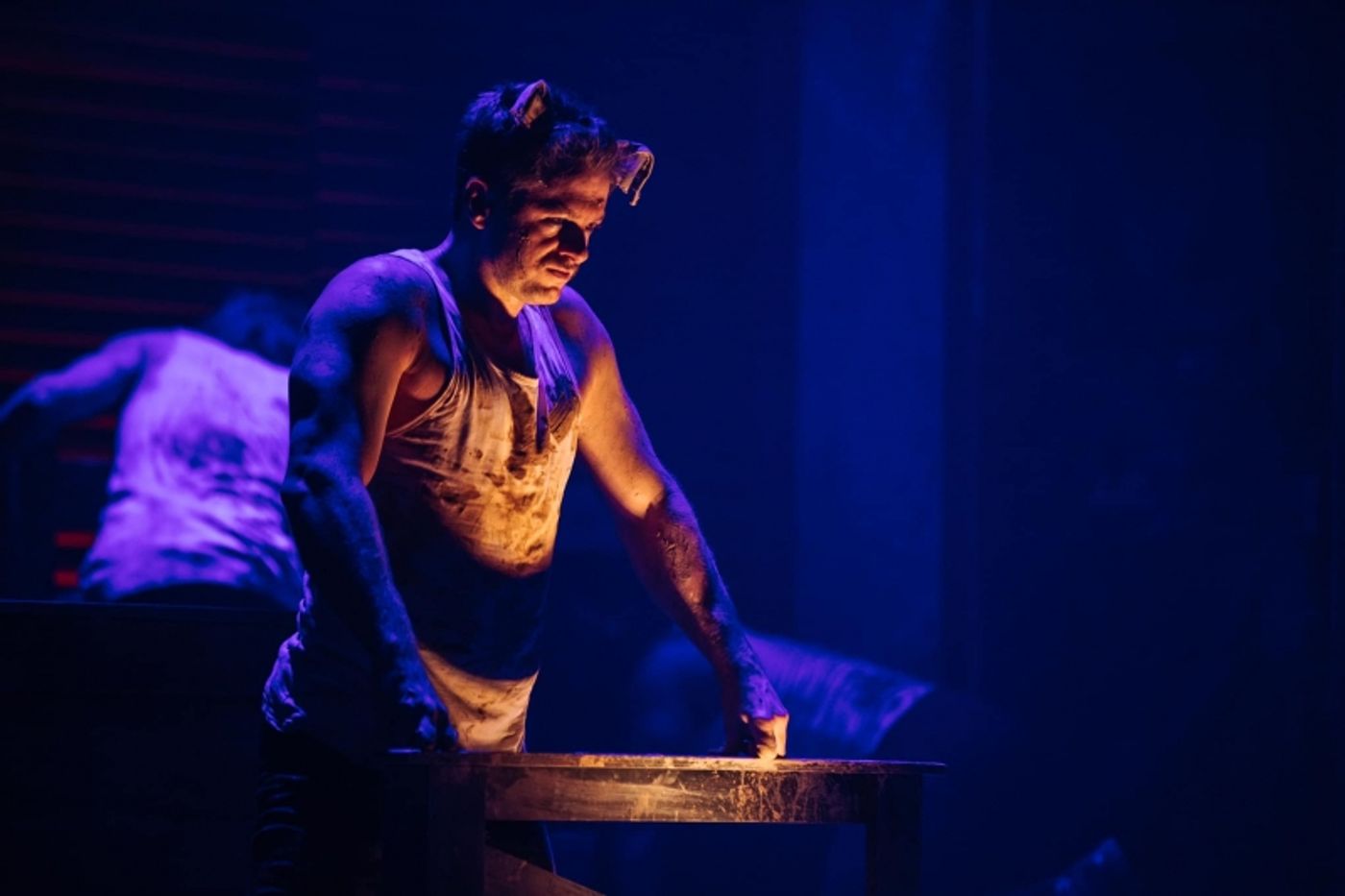 Review: ANIMAL FARM by shake & stir theatre co  Image
