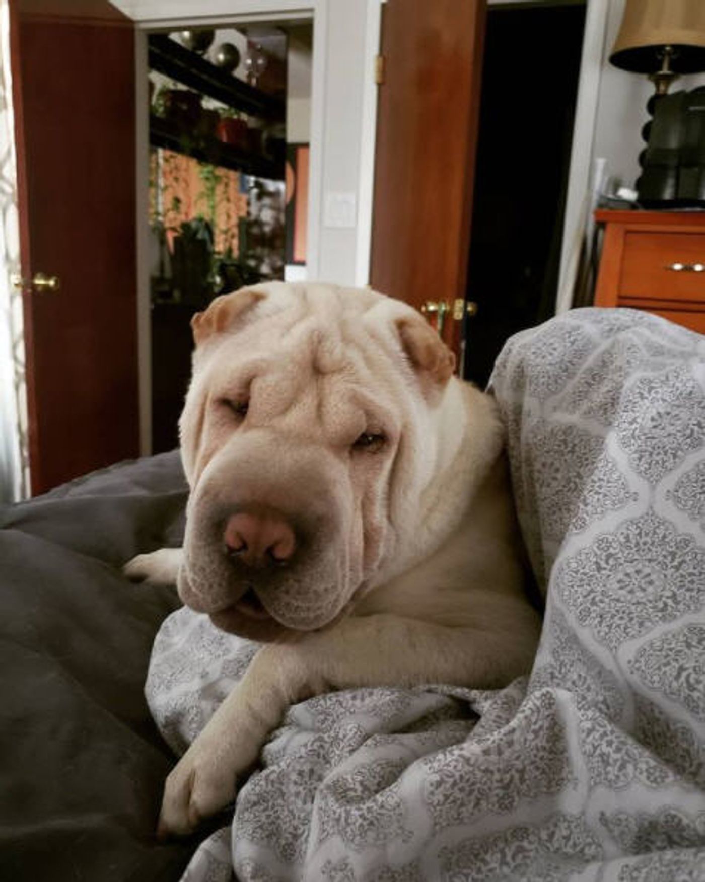 Interview: Derrick Baskin on His Solo Club Act Debut at Feinstein's/54 Below on June 29th  Image