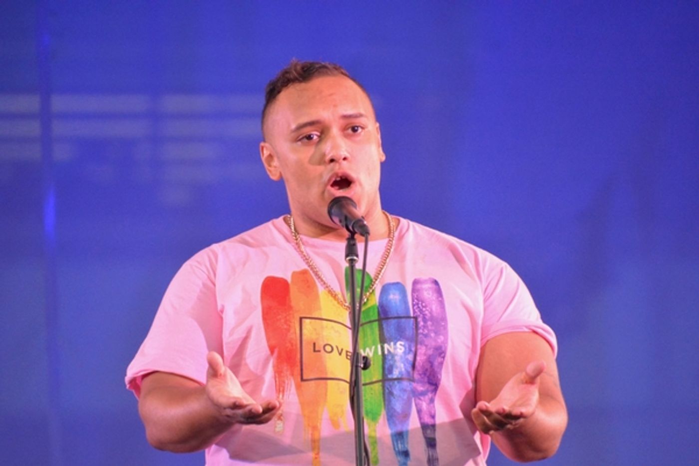Photo Coverage: New York City Opera's 3rd Annual Pride in the Park  Image