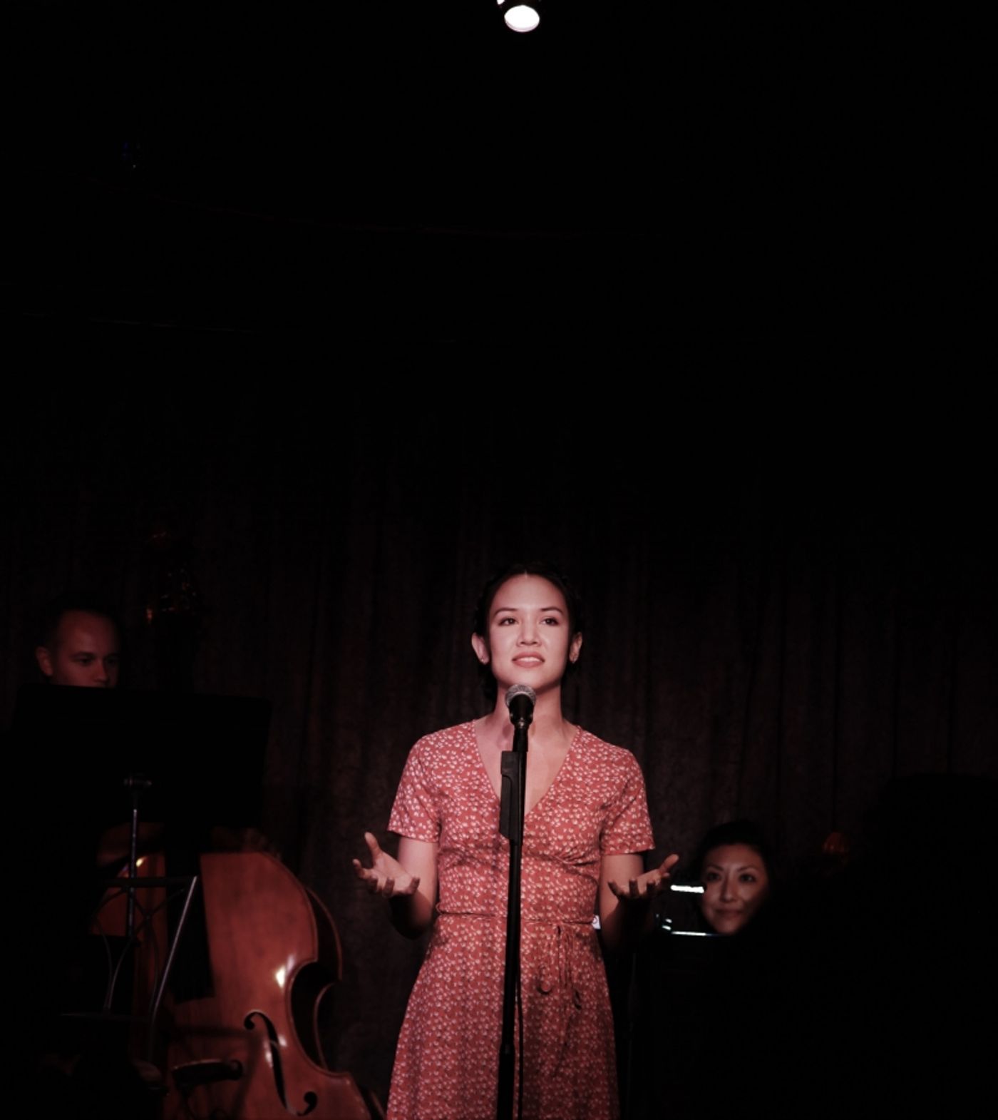 Review: CELIA MEI RUBIN & FRIENDS SING SETH BISEN-HERSH Packs Don't Tell Mama With Grateful Patrons  Image