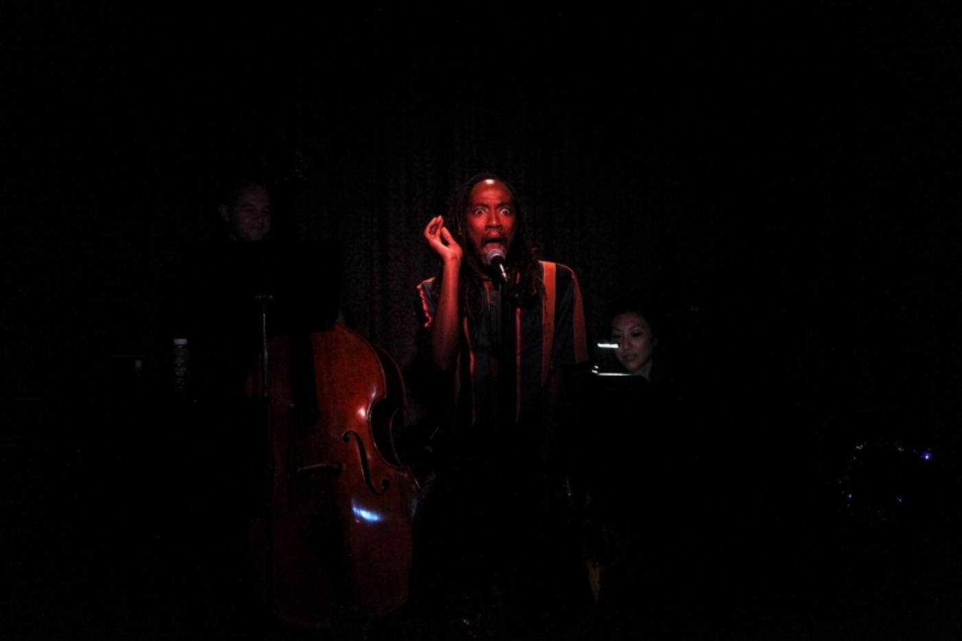 Review: CELIA MEI RUBIN & FRIENDS SING SETH BISEN-HERSH Packs Don't Tell Mama With Grateful Patrons  Image