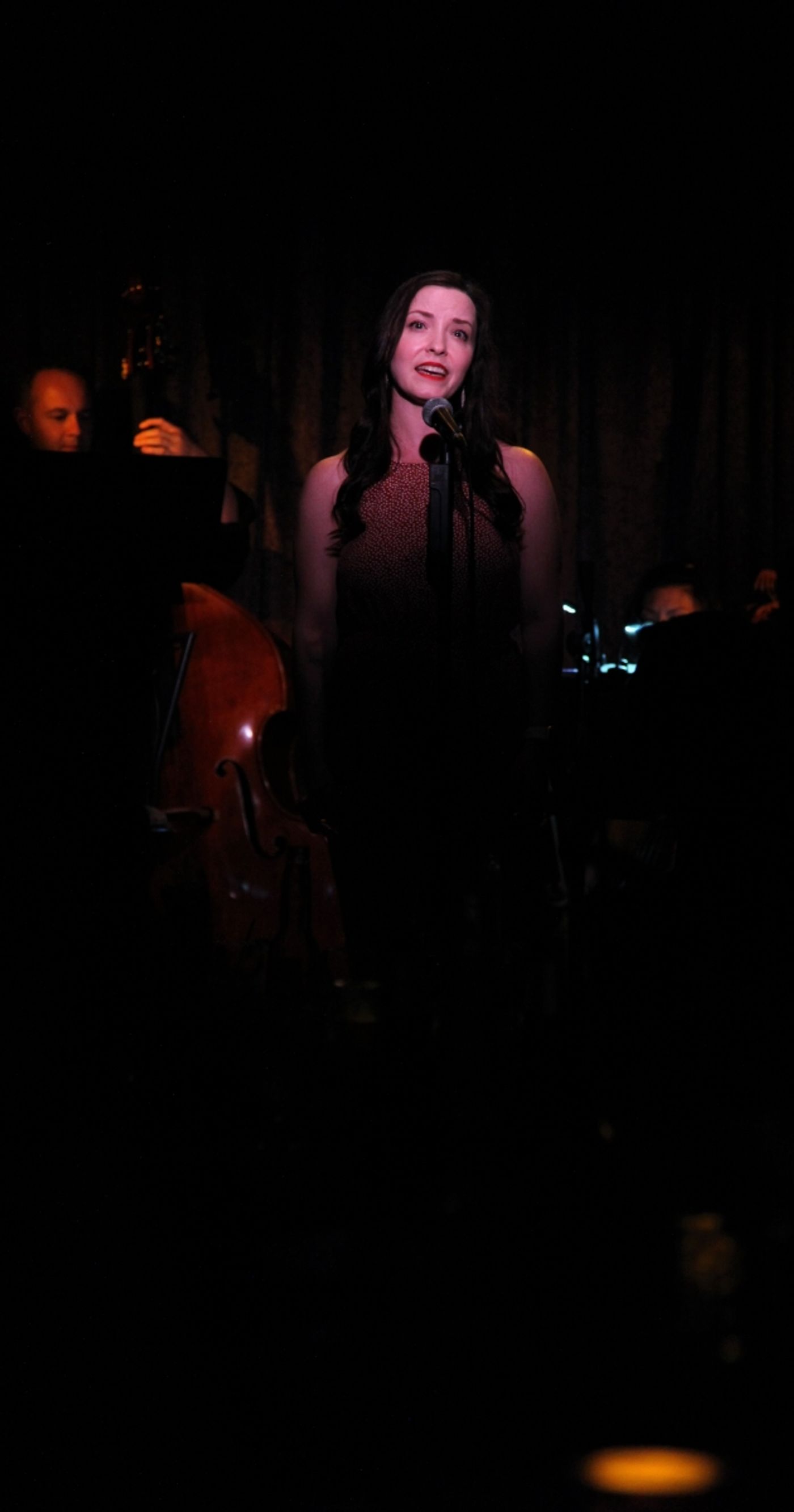 Review: CELIA MEI RUBIN & FRIENDS SING SETH BISEN-HERSH Packs Don't Tell Mama With Grateful Patrons  Image