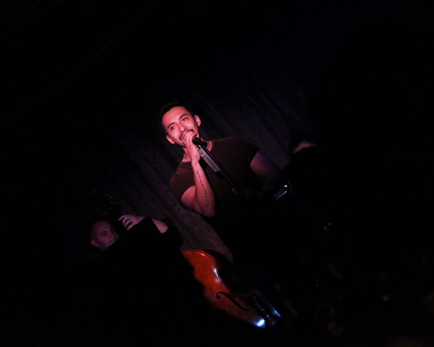 Review: CELIA MEI RUBIN & FRIENDS SING SETH BISEN-HERSH Packs Don't Tell Mama With Grateful Patrons  Image