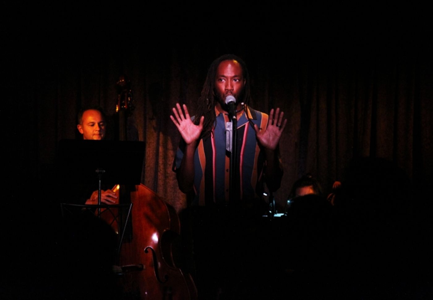 Review: CELIA MEI RUBIN & FRIENDS SING SETH BISEN-HERSH Packs Don't Tell Mama With Grateful Patrons  Image