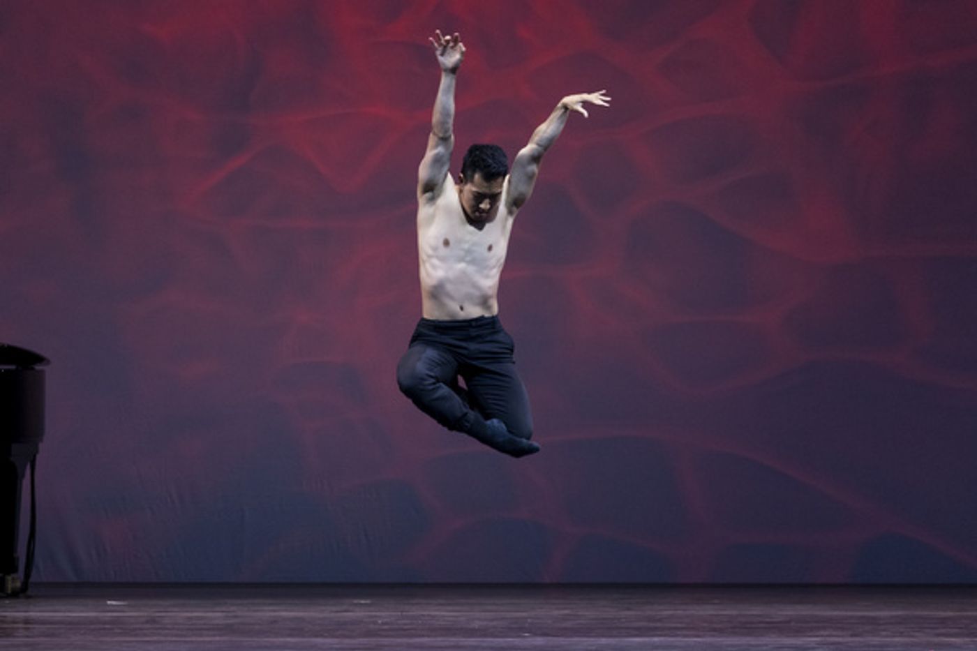 Photo Flash: Tiler Peck, Alex Wong, Ayodele Casel & More Take Part in Dance Against Cancer Event at Lincoln Center  Image