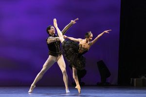 Hee Seo and Thomas Forster Photo