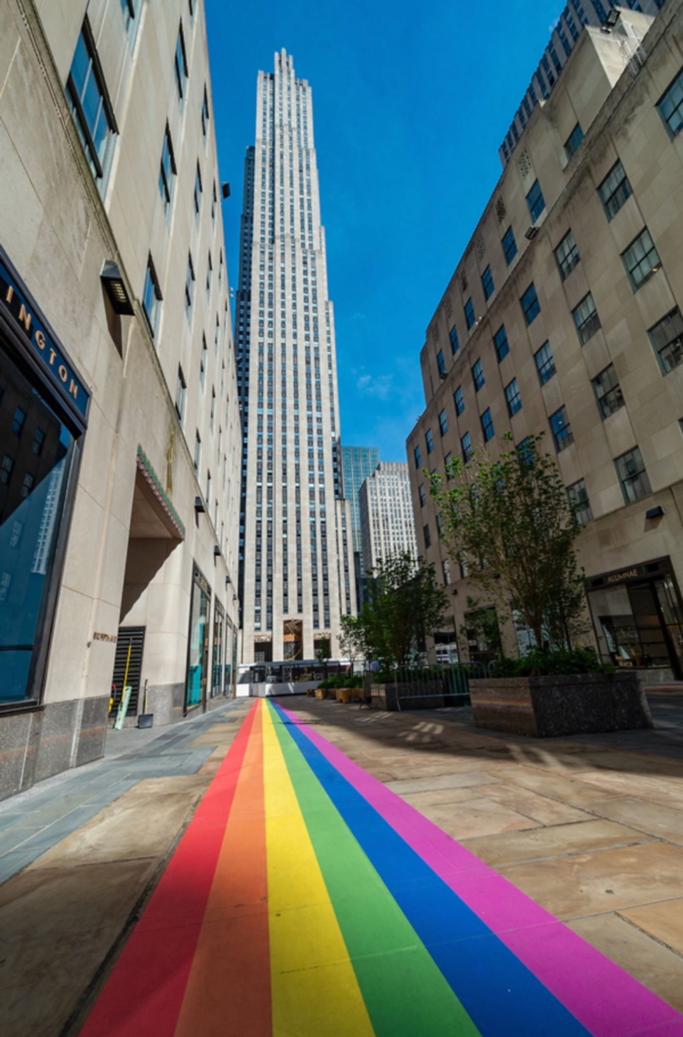 Photo Flash: Rainbow Flags Fly at Rockefeller Center in Celebration of Pride  Image