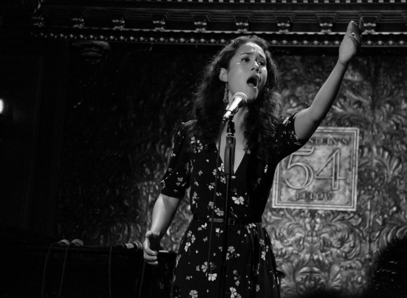 Review:  Alexandra Silber Lands Like The Blue Fairy, Granting Wishes to Her Talented Friends With I WISH: THE ROLES THAT COULD HAVE BEEN at Feinstein's/54 Below  Image