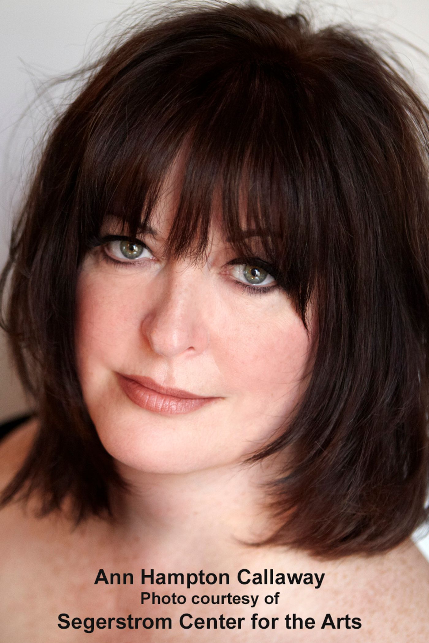 Interview: Songstress/Songwriter Extraordinaire Ann Hampton Callaway Riffs on Linda, Liz, Barbra & More  Image