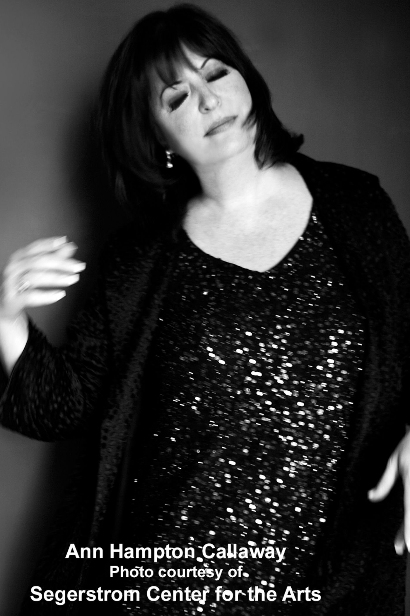 Interview: Songstress/Songwriter Extraordinaire Ann Hampton Callaway Riffs on Linda, Liz, Barbra & More  Image