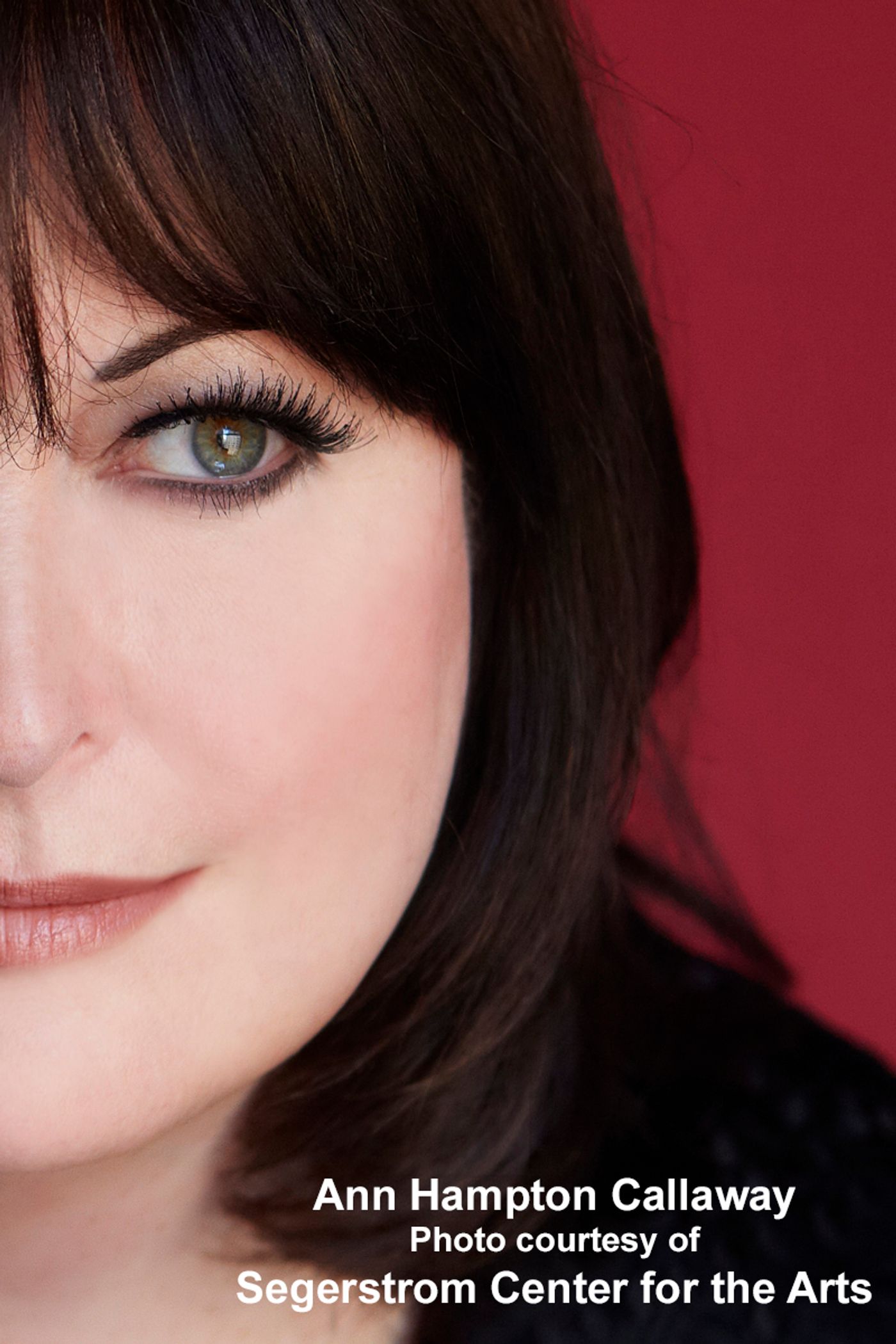 Interview: Songstress/Songwriter Extraordinaire Ann Hampton Callaway Riffs on Linda, Liz, Barbra & More  Image