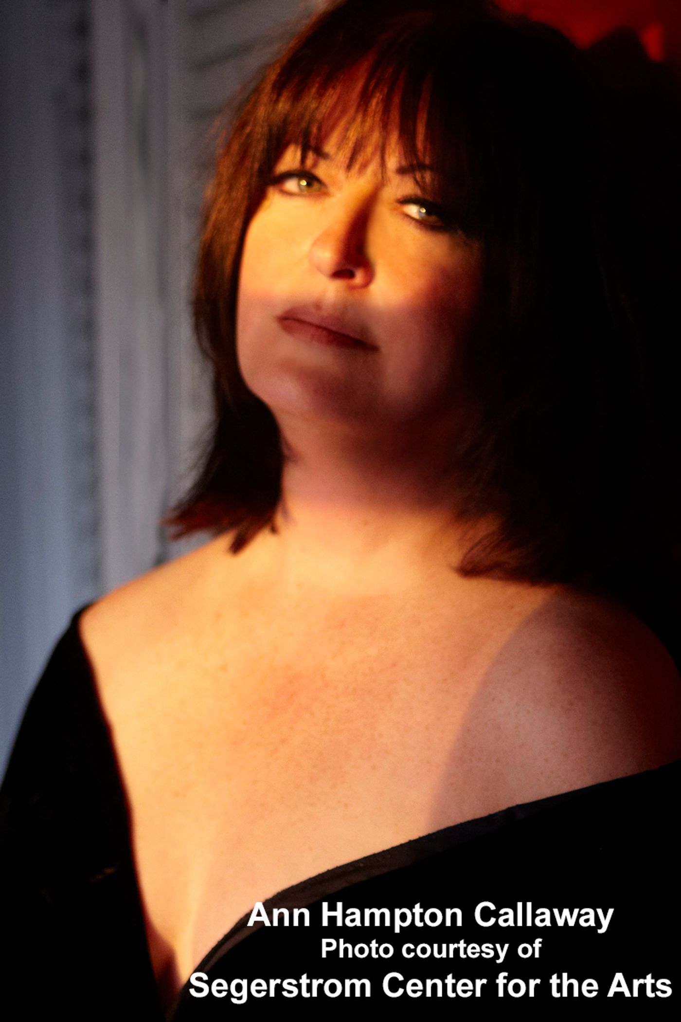 Interview: Songstress/Songwriter Extraordinaire Ann Hampton Callaway Riffs on Linda, Liz, Barbra & More  Image
