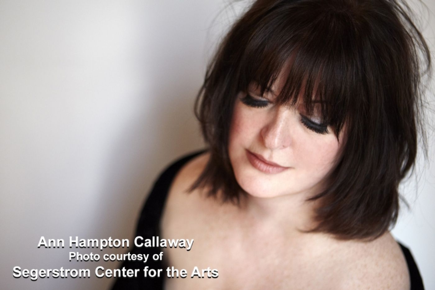 Interview: Songstress/Songwriter Extraordinaire Ann Hampton Callaway Riffs on Linda, Liz, Barbra & More  Image