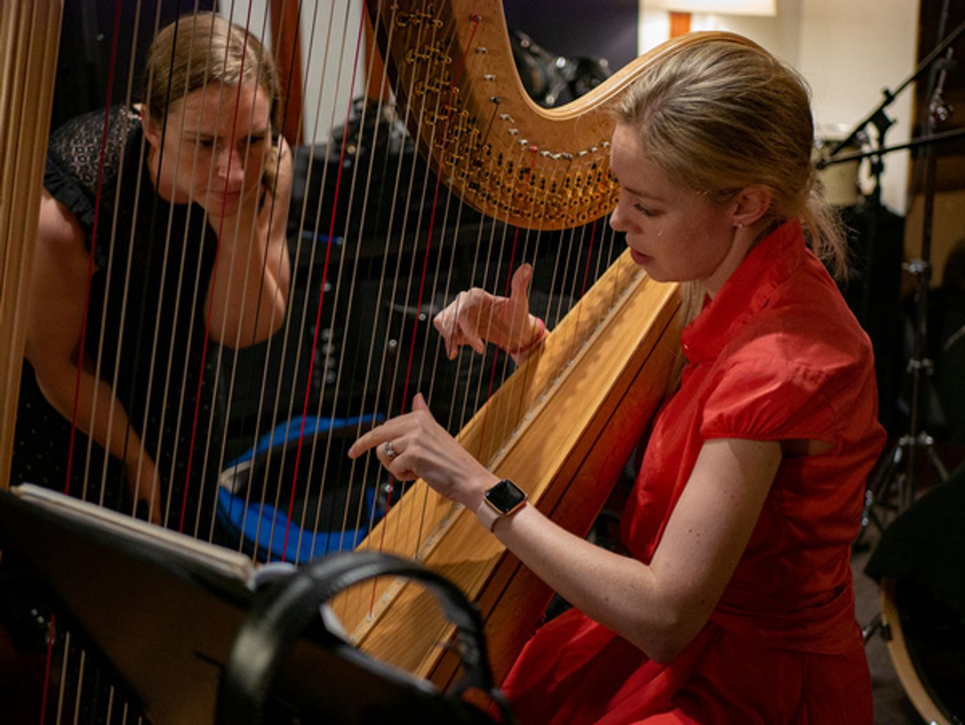 Photo Flash: Inside Johanna Telander's KALEVALA THE MUSICAL Recording Session at Mirrortone Studios  Image