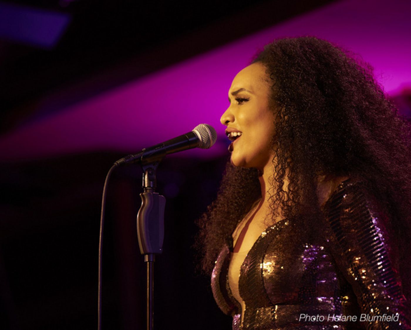 Photos: Nicole Vanessa Ortiz Returns To Feinstein's/54 Below with BECOMING HER: A DIVA'S TRIBUTE  Image