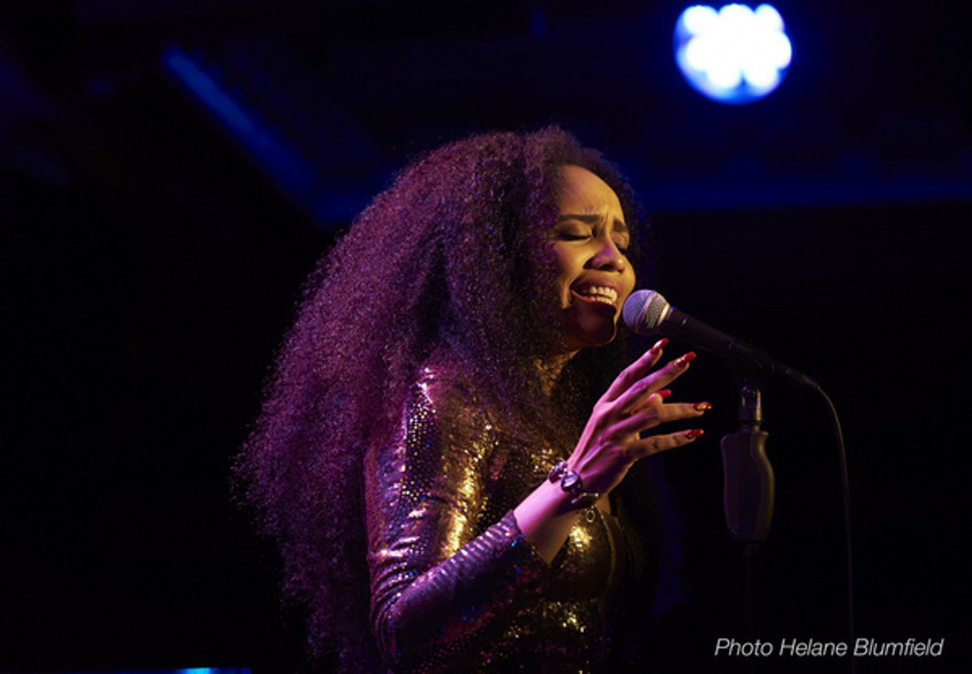 Photos: Nicole Vanessa Ortiz Returns To Feinstein's/54 Below with BECOMING HER: A DIVA'S TRIBUTE  Image