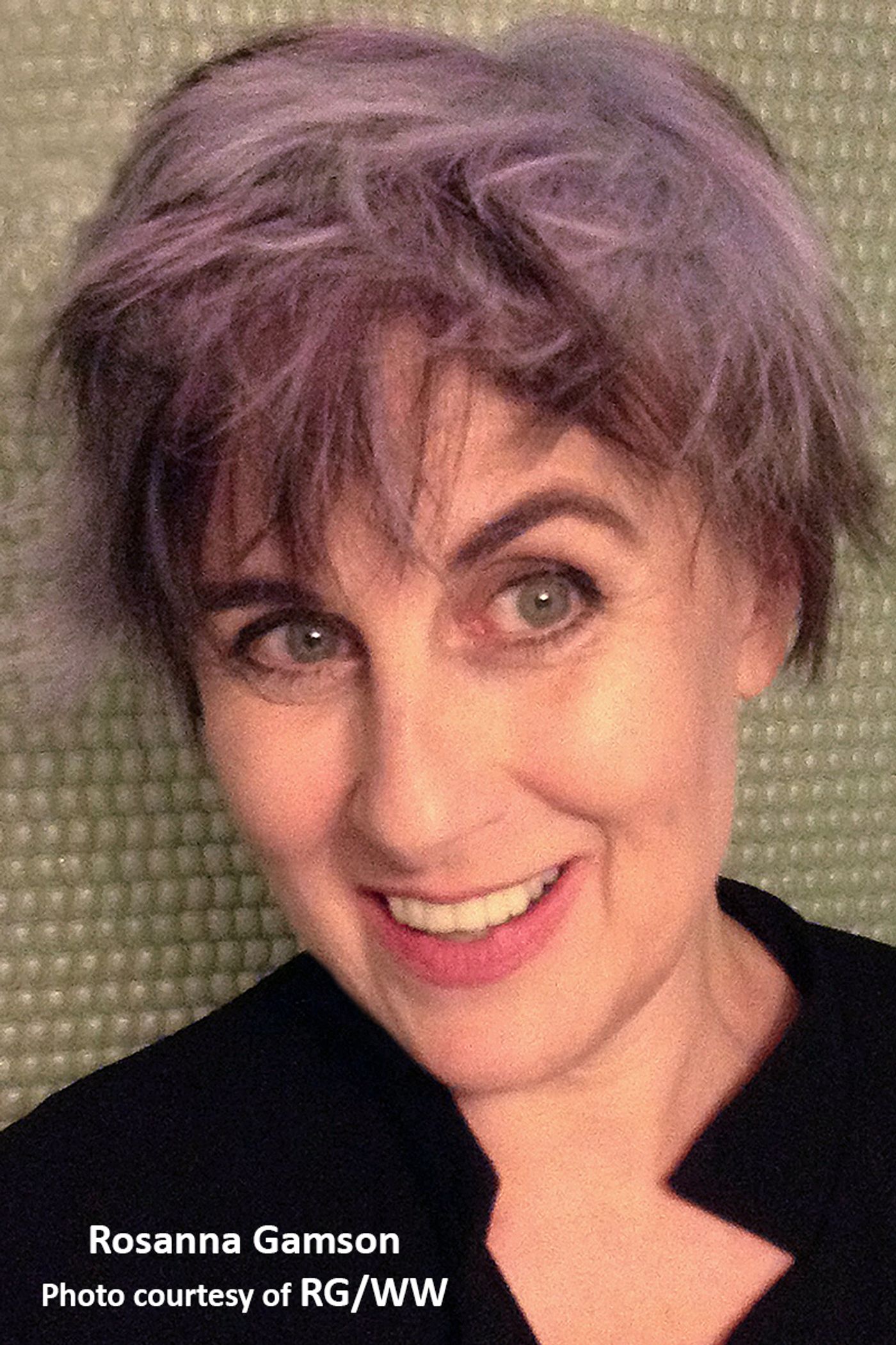 Interview: Rosanna Gamson Resuming Construction On Her SUGAR HOUSES Interview: Rosanna Gamson Resuming Construction On Her SUGAR HOUSES Image