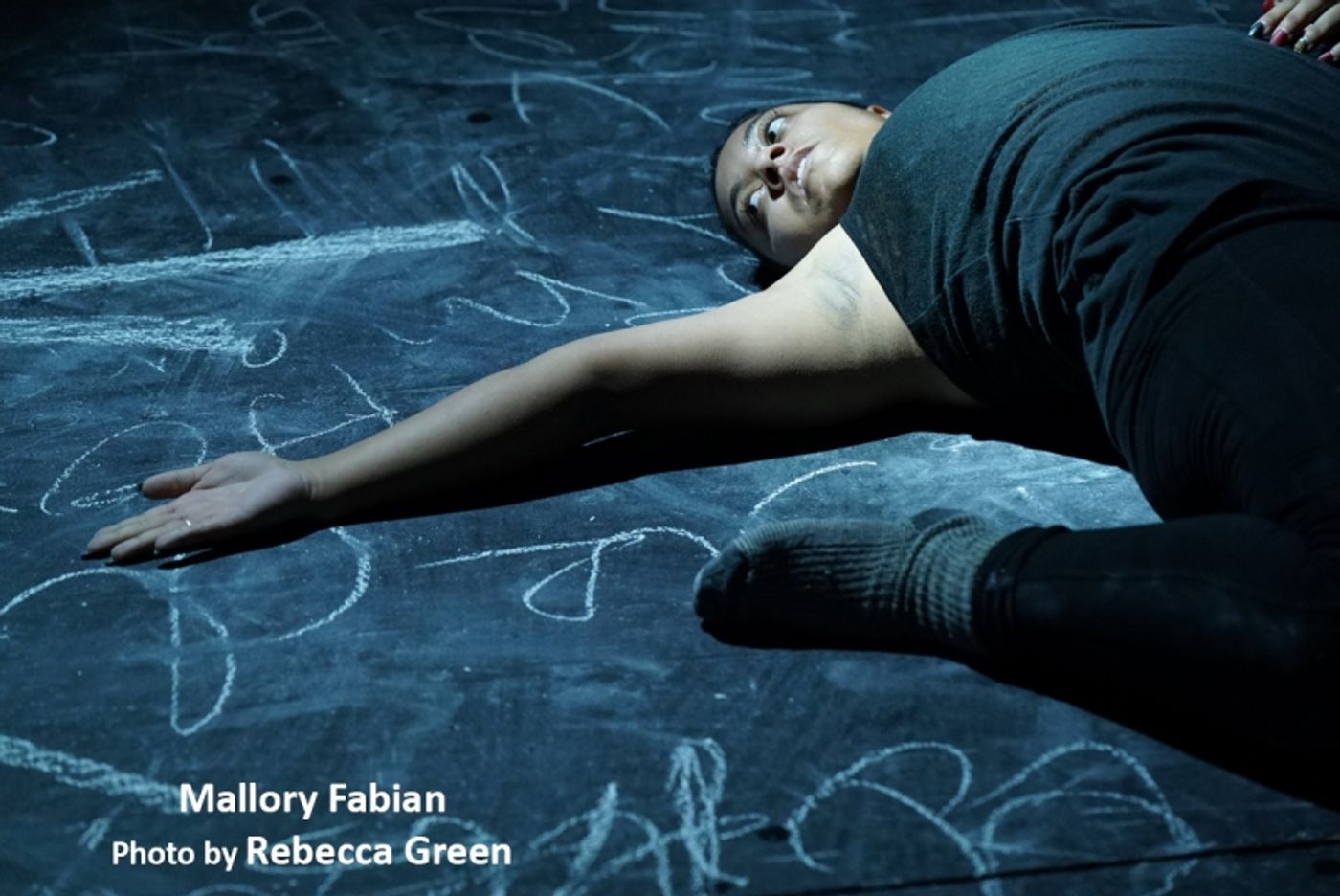 Interview: Rosanna Gamson Resuming Construction On Her SUGAR HOUSES  Image