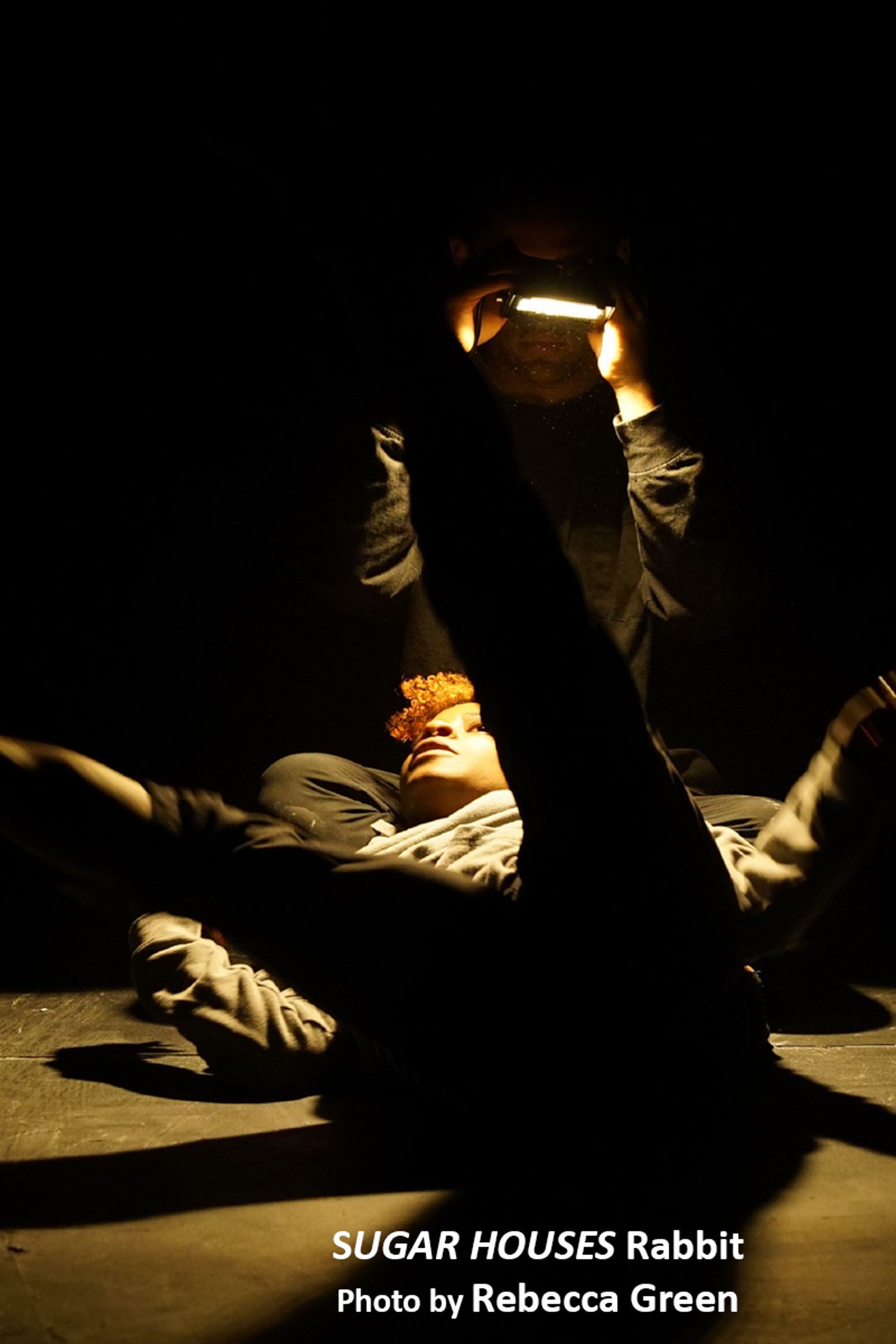 Interview: Rosanna Gamson Resuming Construction On Her SUGAR HOUSES  Image