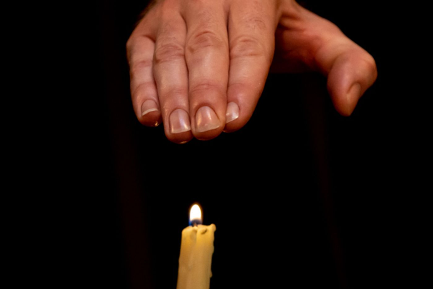 Photos: First look at Red Herring Productions' VINCENT  Image