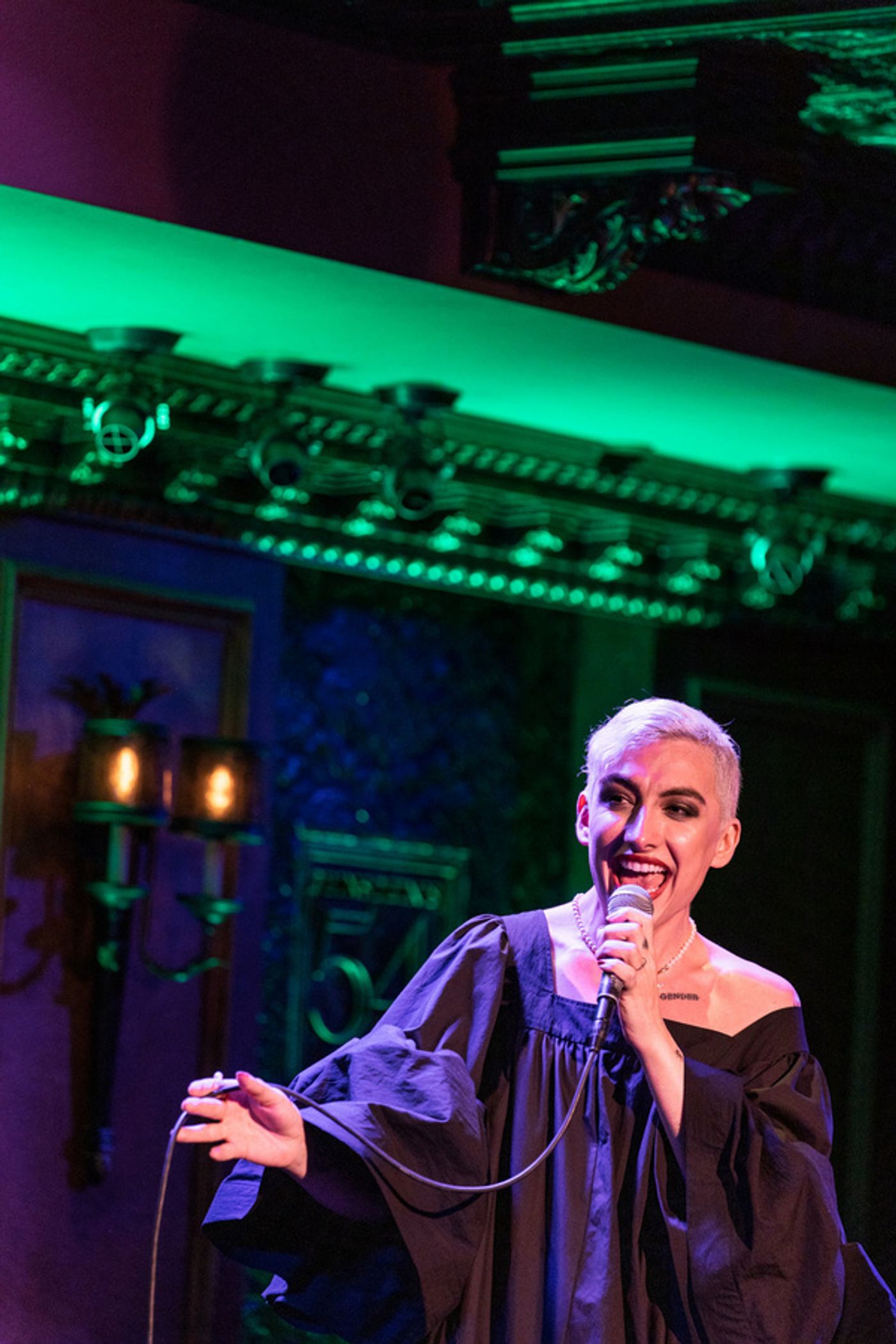 Photos: Alexandra Silber, Jelani Remy And More Star In I WISH: THE ROLES THAT COULD HAVE BEEN At Feinstein's/54 Below  Image