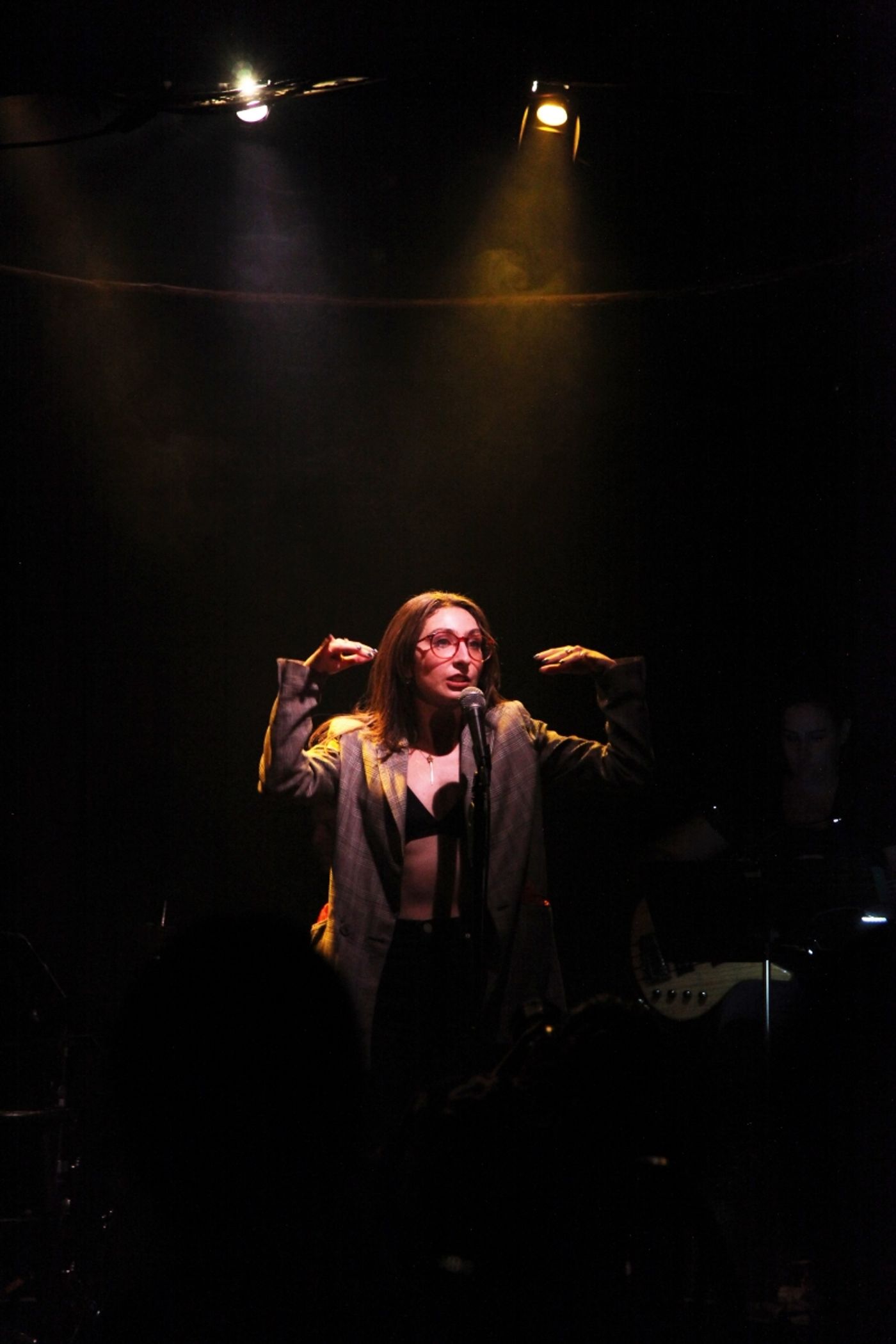 Review: ALEXIS MOLNAR SINGS THE FIONA APPLE SONGBOOK Transcends Barriers at Don't Tell Mama  Image