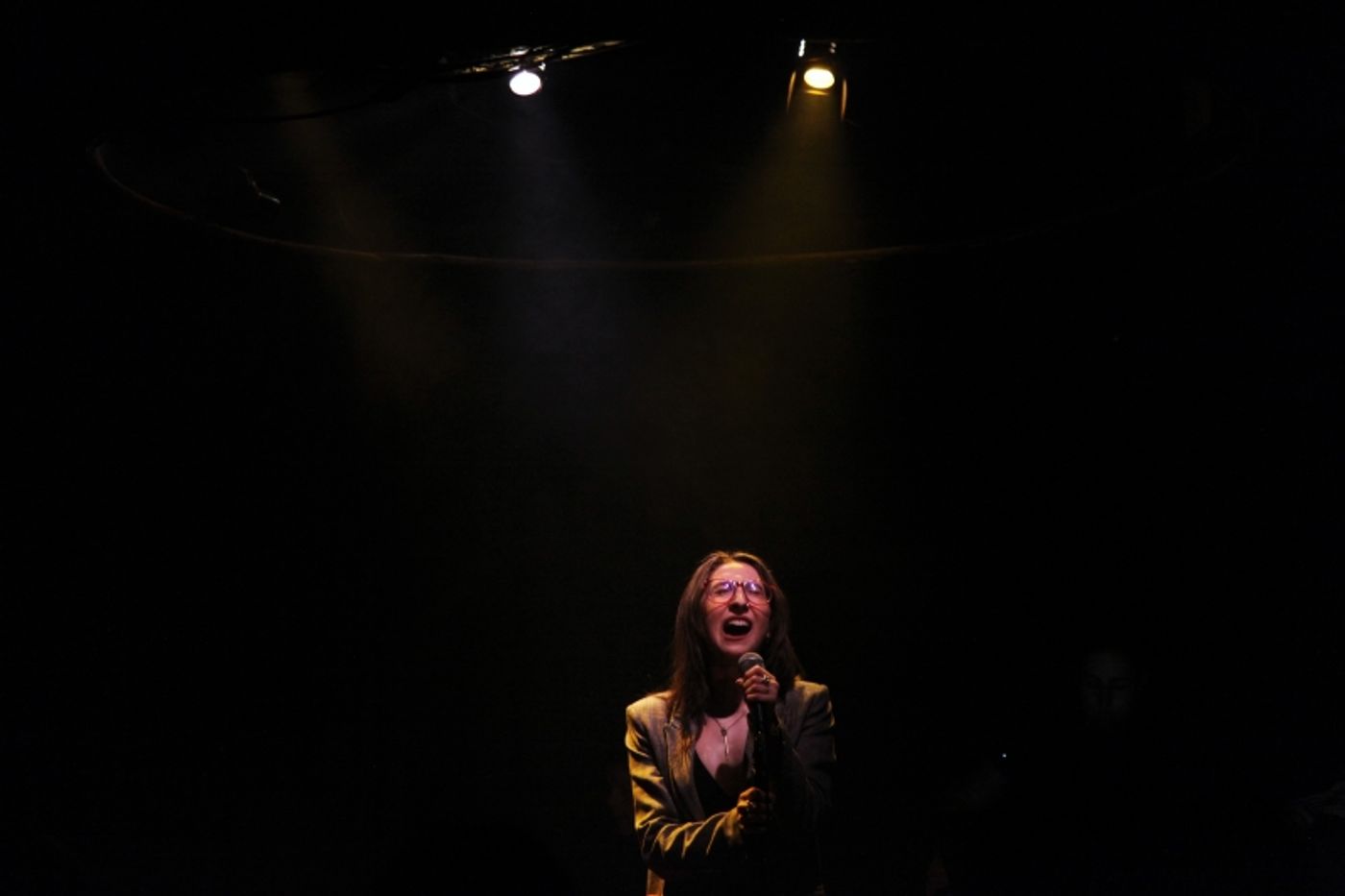 Review: ALEXIS MOLNAR SINGS THE FIONA APPLE SONGBOOK Transcends Barriers at Don't Tell Mama  Image