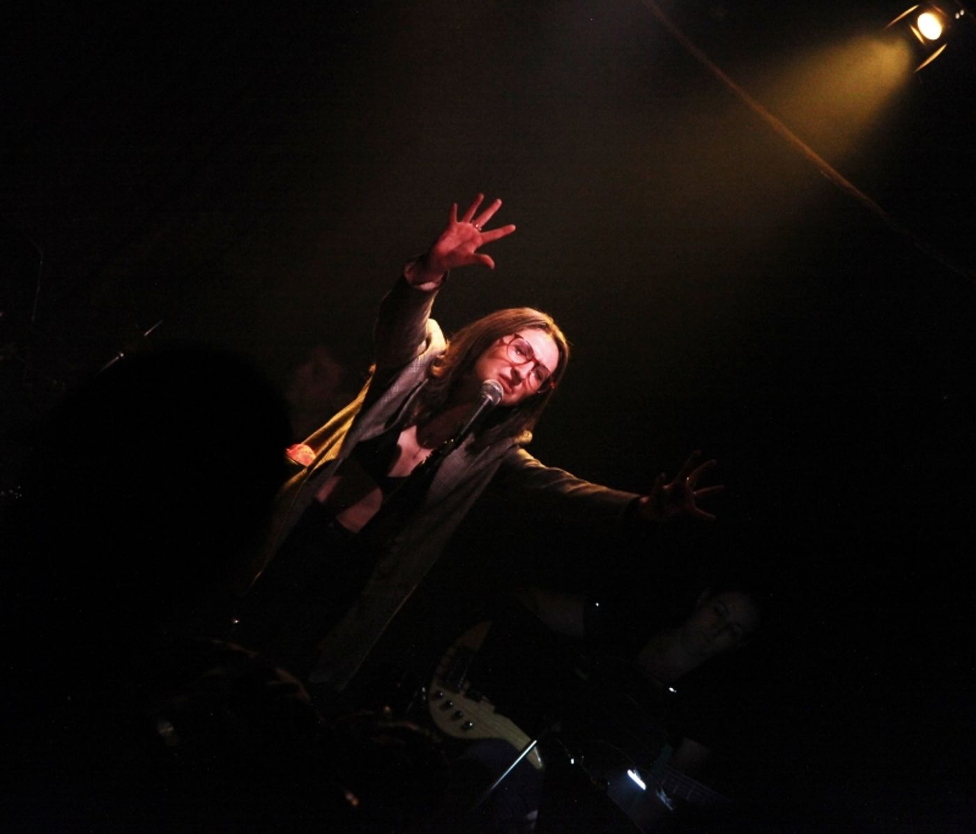 Review: ALEXIS MOLNAR SINGS THE FIONA APPLE SONGBOOK Transcends Barriers at Don't Tell Mama  Image