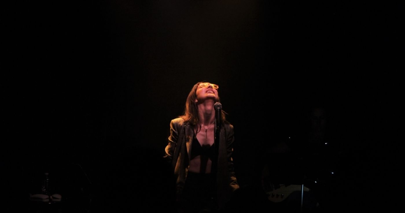 Review: ALEXIS MOLNAR SINGS THE FIONA APPLE SONGBOOK Transcends Barriers at Don't Tell Mama  Image